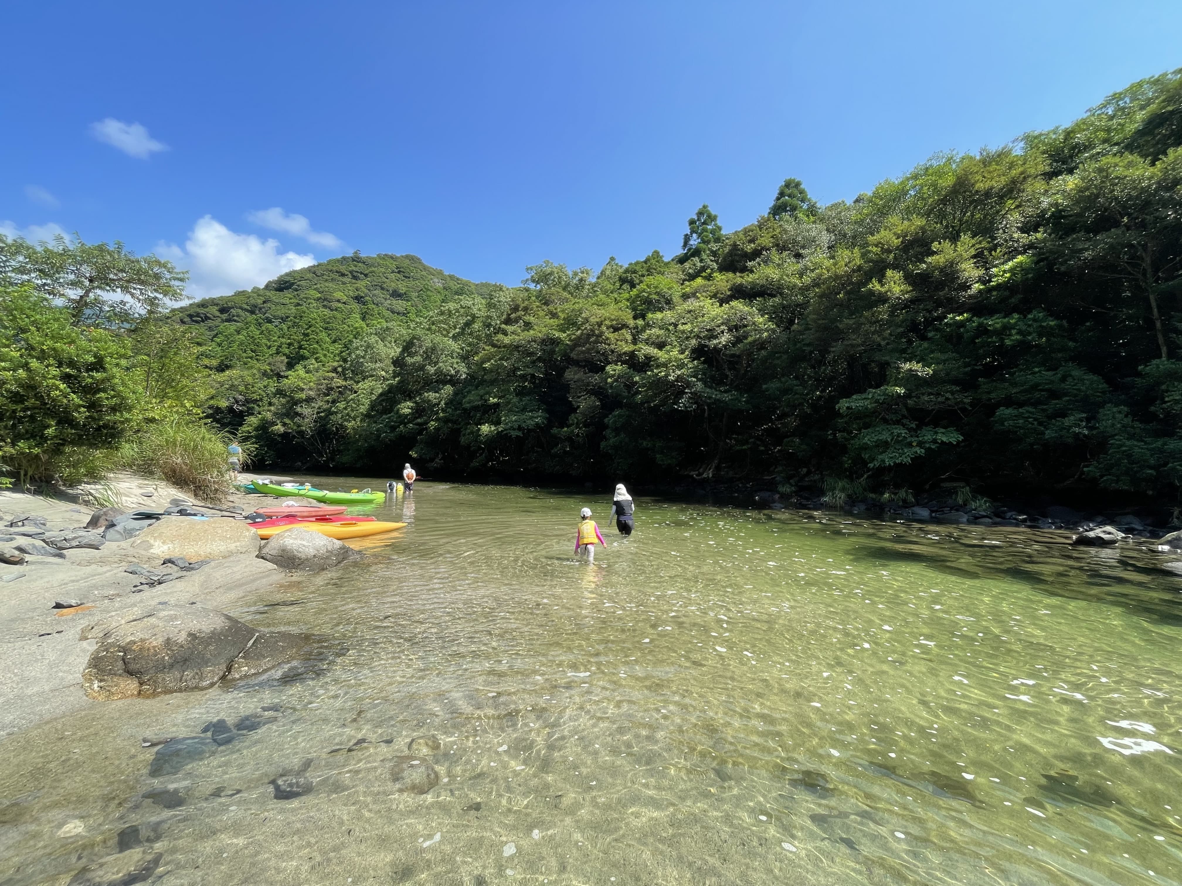 image_50393089.jpg